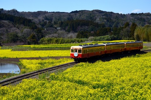 鉄道運転士